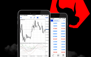 Xm forex uk