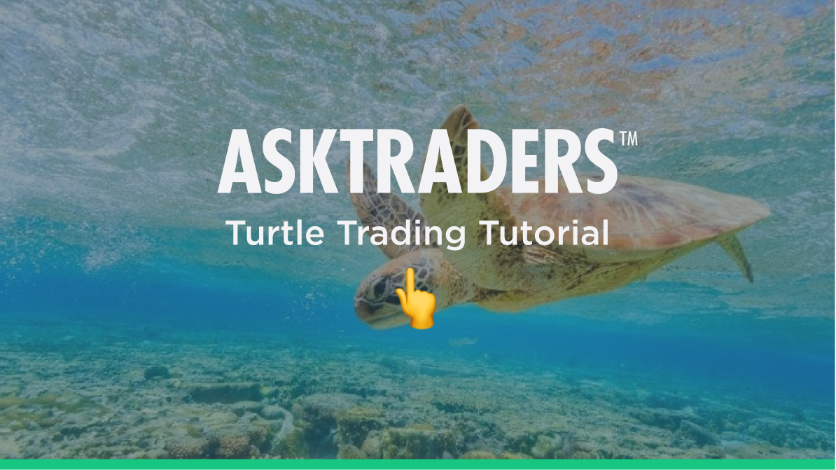 turtle-trading-strategy-2024-guide-asktraders