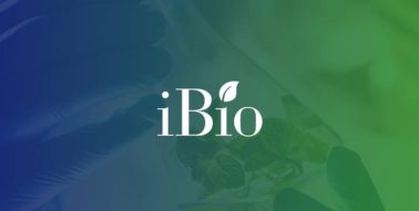 Ibio Inc logo