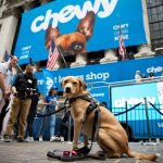 chewy-company dog infront of billboard