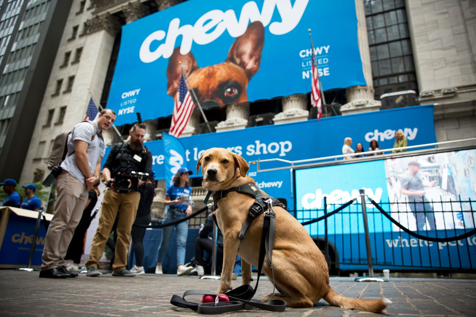 Nyse chewy best sale