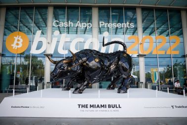 Crypto Bull