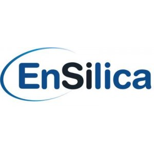 Ensilica logo