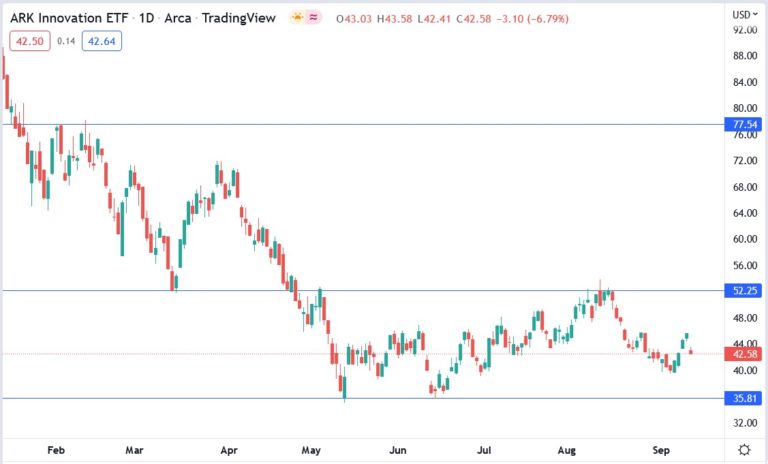 ARK Innovation (ARKK) Stock Rose On Cathie Wood's Purchases