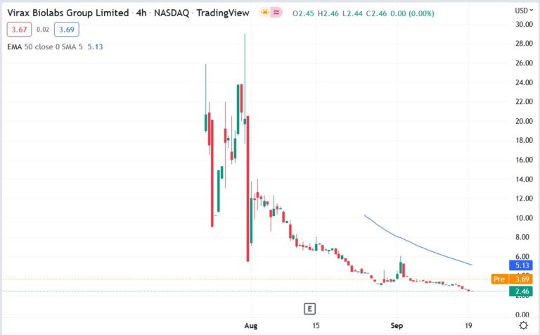 Virax Biolabs (VRAX) Stock Rallied 50% on the Monkeypox Test Kit