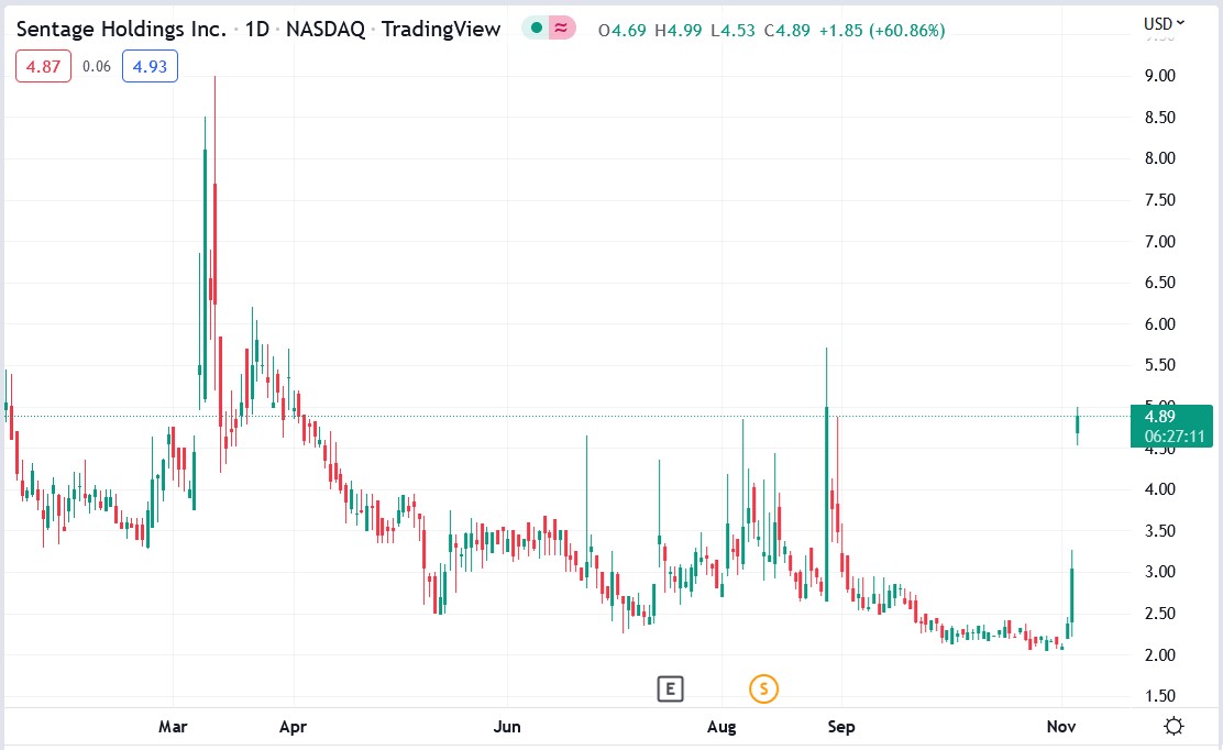 Sentage Holdings 04-11-2022